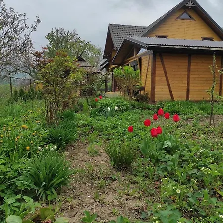 Lodge Nad Cheremoshem Tyudov