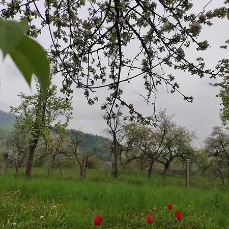 Gerendaház Nad Cheremoshem