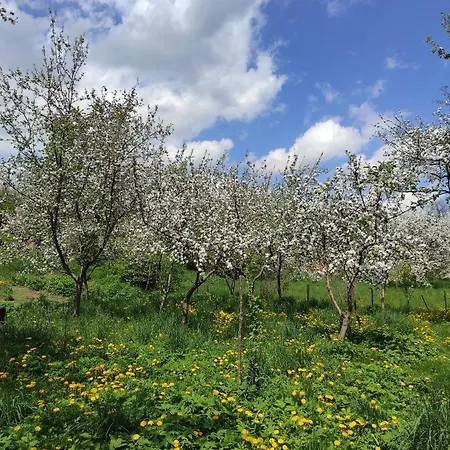 Gerendaház Nad Cheremoshem *