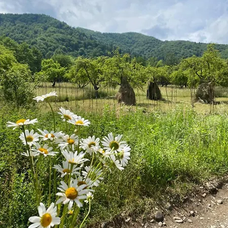 Nad Cheremoshem Tyugyiv