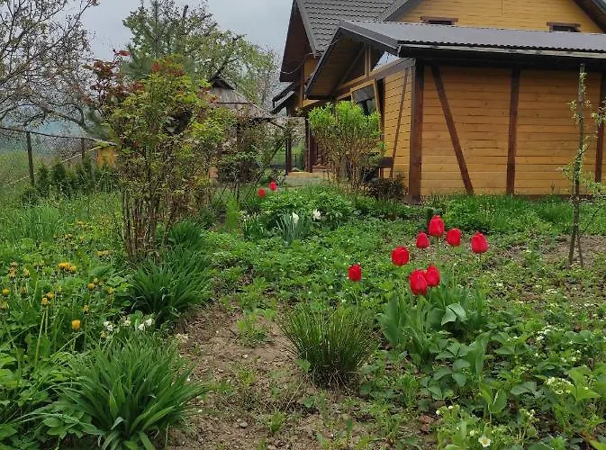 Lodge Nad Cheremoshem Tyudov