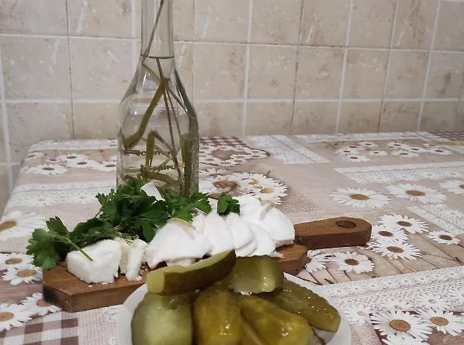 Nad Cheremoshem Lodge