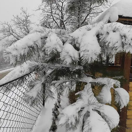 Nad Cheremoshem Jaktstuga *