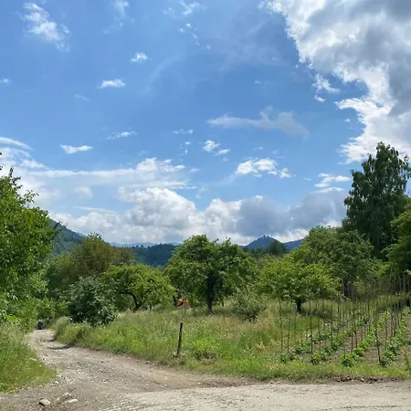 Nad Cheremoshem Jaktstuga *