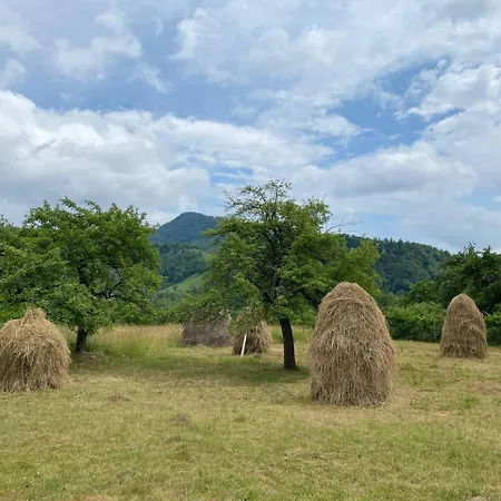 Jaktstuga Nad Cheremoshem *